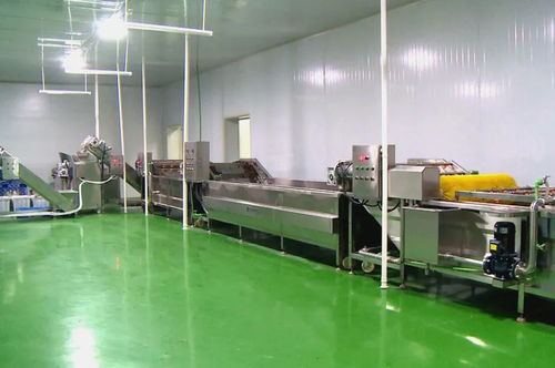 筑巢引鳳添動(dòng)力，招商引資促發(fā)展 譜寫食用菌菌種進(jìn)出口產(chǎn)業(yè)新篇章